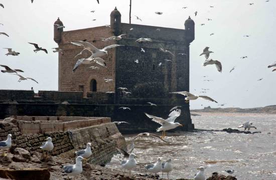 دولة المغرب في الماضي والحاضر oiseau-fortification